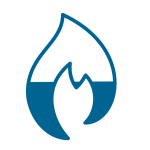 FHIR Flame blue icon-1-1
