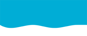Blue hero banner