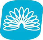 flexible-cyan-500x500 flexible-cyan-500x500