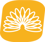 flexible-yellow-500x500 flexible-yellow-500x500